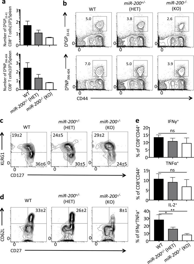 https://cdn.ncbi.nlm.nih.gov/pmc/blobs/4ad0/5881466/9572199c6efd/JEM_20171352_Fig7.jpg