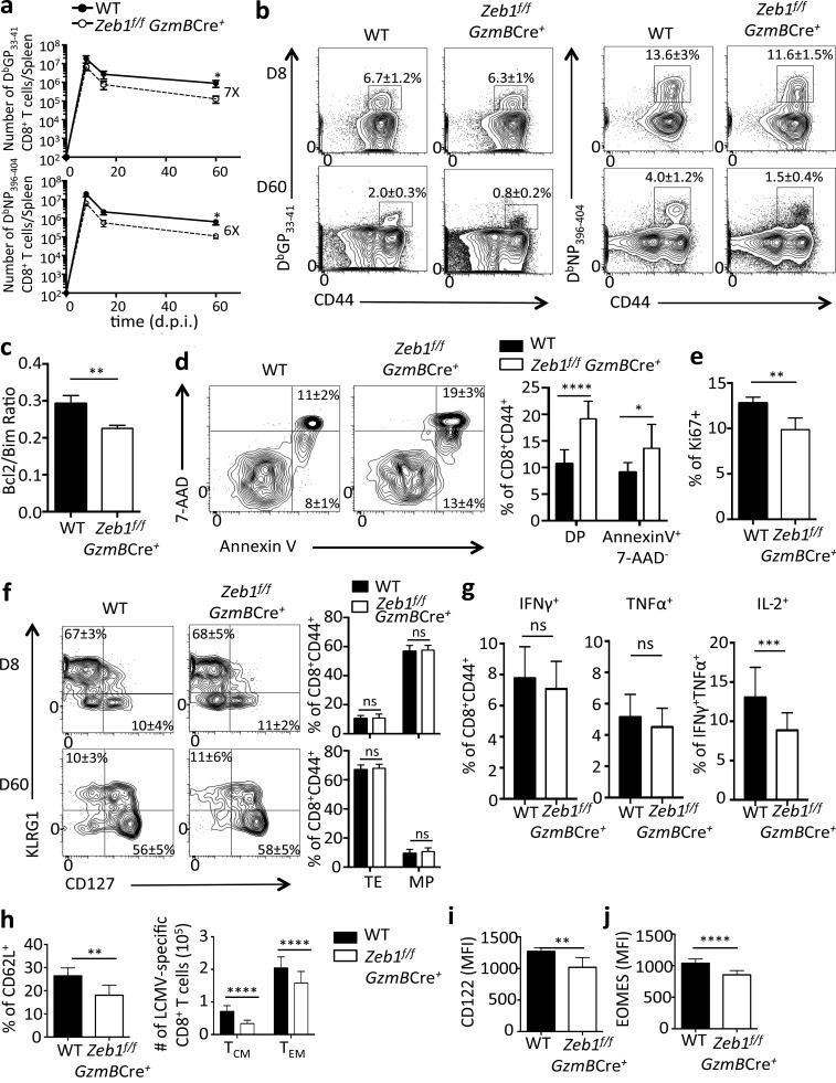 https://cdn.ncbi.nlm.nih.gov/pmc/blobs/4ad0/5881466/a182a87e9b72/JEM_20171352_Fig2.jpg