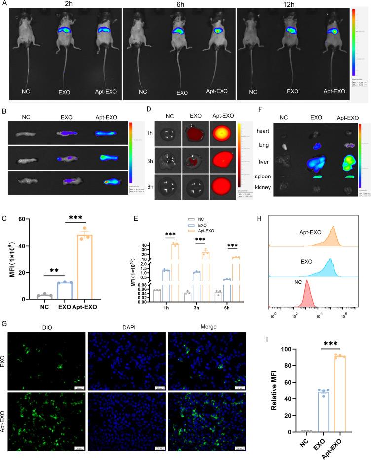 https://cdn.ncbi.nlm.nih.gov/pmc/blobs/4ad1/11410040/8f433ce78b29/IJN-19-9575-g0010.jpg