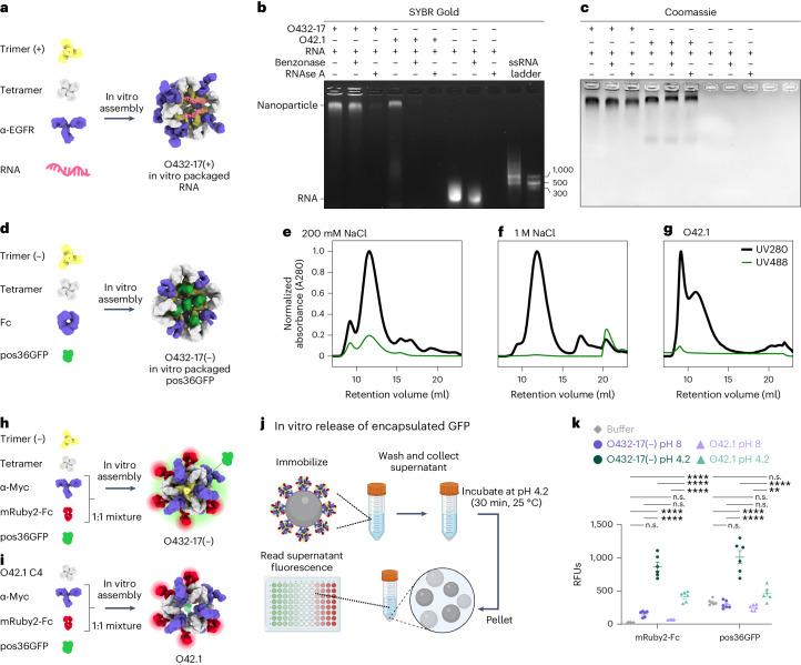 https://cdn.ncbi.nlm.nih.gov/pmc/blobs/4ad3/11402783/1d3fd487d434/41594_2024_1288_Fig4_HTML.jpg