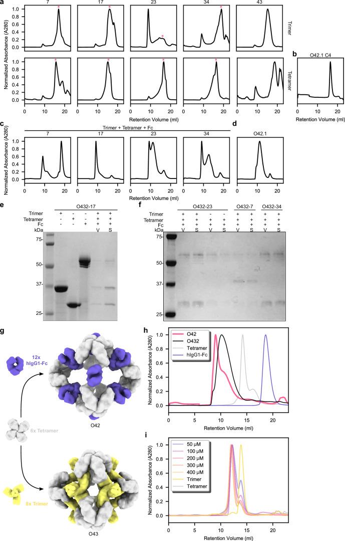 https://cdn.ncbi.nlm.nih.gov/pmc/blobs/4ad3/11402783/2f5f8d76be7a/41594_2024_1288_Fig8_ESM.jpg