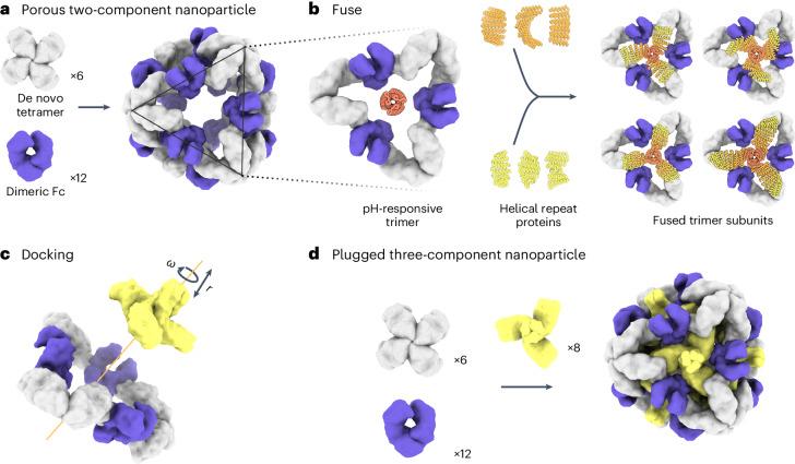 https://cdn.ncbi.nlm.nih.gov/pmc/blobs/4ad3/11402783/30c6441b0d48/41594_2024_1288_Fig1_HTML.jpg