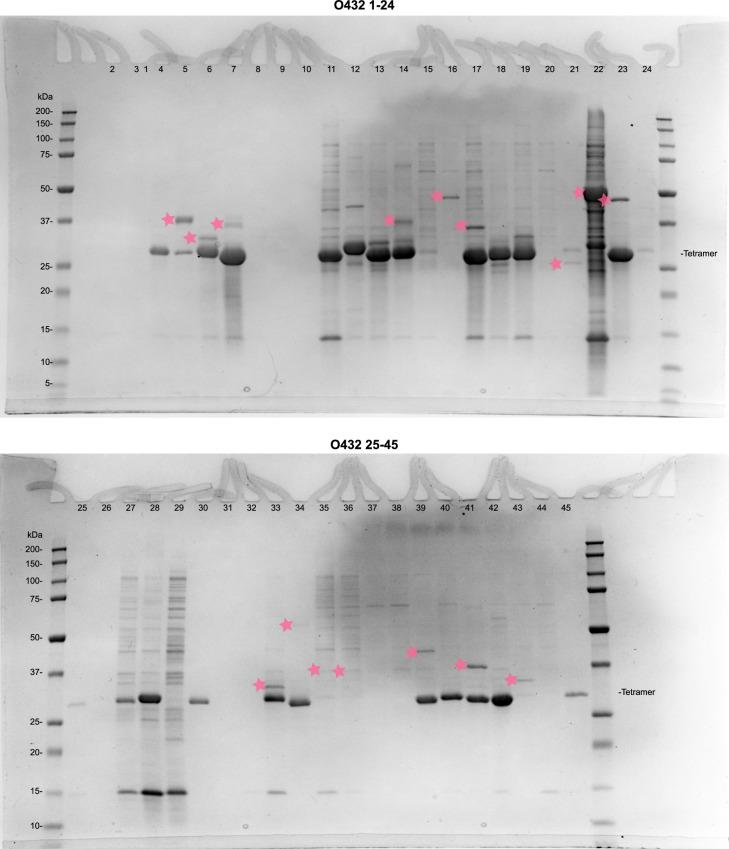 https://cdn.ncbi.nlm.nih.gov/pmc/blobs/4ad3/11402783/a475db5d8295/41594_2024_1288_Fig6_ESM.jpg