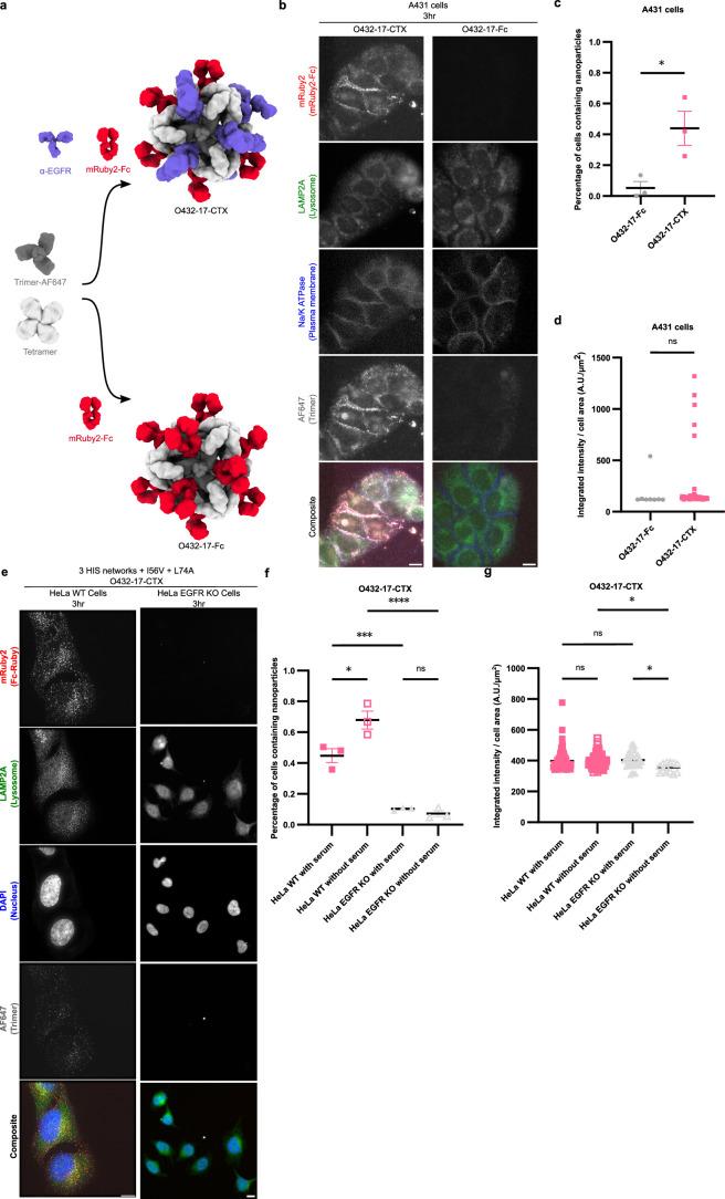 https://cdn.ncbi.nlm.nih.gov/pmc/blobs/4ad3/11402783/e0f6e7c8a673/41594_2024_1288_Fig15_ESM.jpg