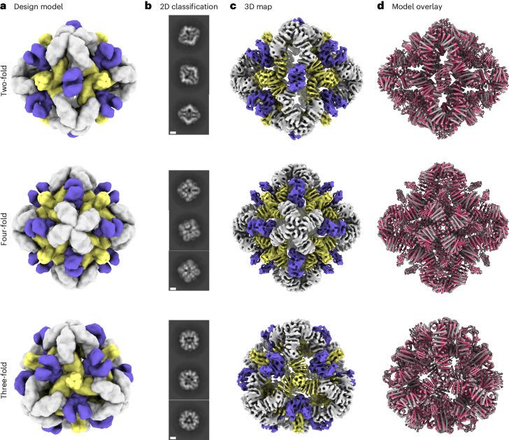 https://cdn.ncbi.nlm.nih.gov/pmc/blobs/4ad3/11402783/e1d2bf4ded71/41594_2024_1288_Fig3_HTML.jpg