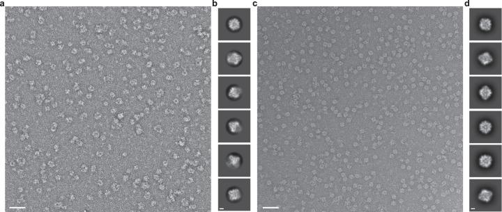 https://cdn.ncbi.nlm.nih.gov/pmc/blobs/4ad3/11402783/e4657ce55bb6/41594_2024_1288_Fig11_ESM.jpg