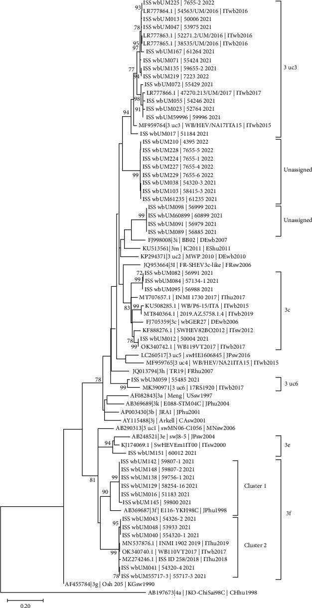 https://cdn.ncbi.nlm.nih.gov/pmc/blobs/4ad3/12017113/9672ec594047/TBED2023-3126419.003.jpg