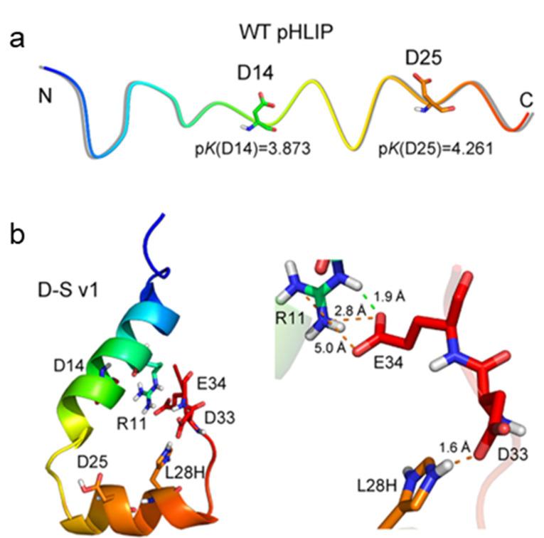 https://cdn.ncbi.nlm.nih.gov/pmc/blobs/4ad3/12059989/99630c27af84/img_6.jpg