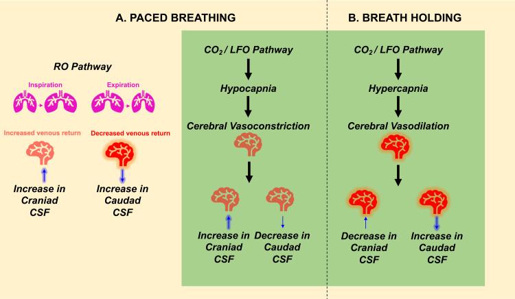https://cdn.ncbi.nlm.nih.gov/pmc/blobs/4ad3/12272236/9d14015e2c4c/imag_a_00192_fig6.jpg