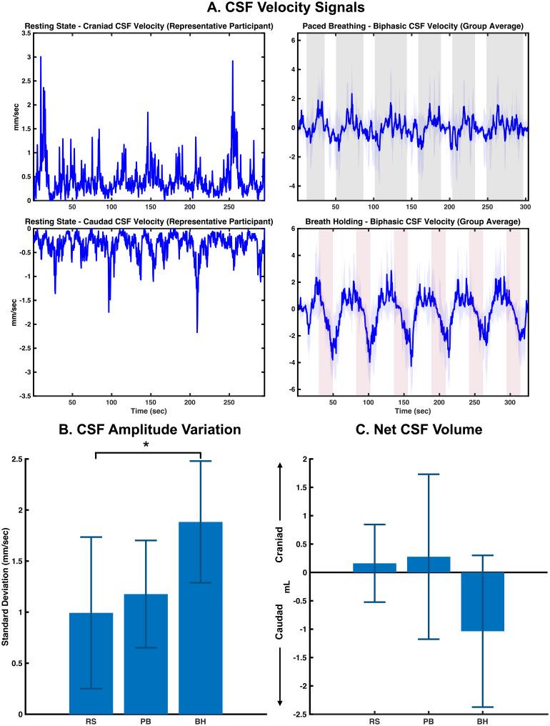 https://cdn.ncbi.nlm.nih.gov/pmc/blobs/4ad3/12272236/f5fe850489c2/imag_a_00192_fig2.jpg