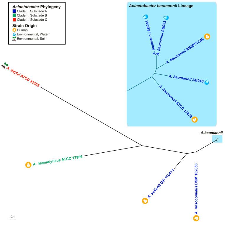 https://cdn.ncbi.nlm.nih.gov/pmc/blobs/4ad4/12196012/f57bb633459b/pathogens-14-00606-g005.jpg