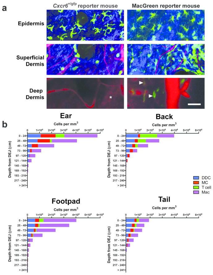 https://cdn.ncbi.nlm.nih.gov/pmc/blobs/4ad6/4268113/394614aec370/nihms610179f1.jpg