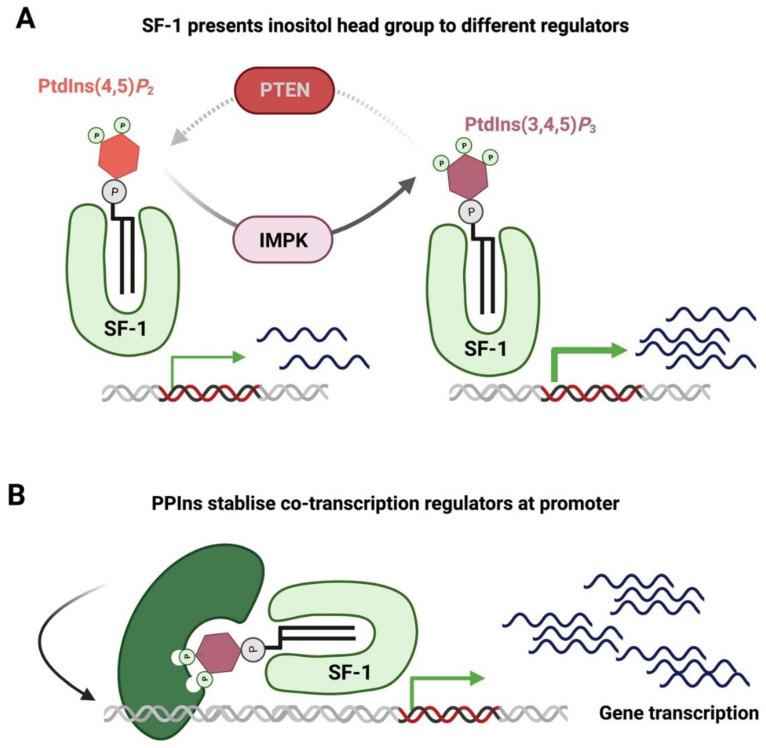 https://cdn.ncbi.nlm.nih.gov/pmc/blobs/4ad7/10377365/fdad2831c7d1/biomolecules-13-01049-g005.jpg