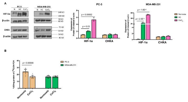 https://cdn.ncbi.nlm.nih.gov/pmc/blobs/4ad8/8400349/8761bb35840e/pharmaceutics-13-01246-g002.jpg