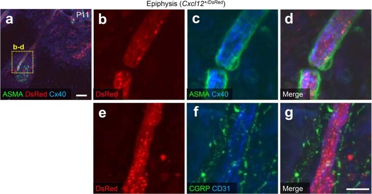 https://cdn.ncbi.nlm.nih.gov/pmc/blobs/4ad9/10567563/7e541a2ba6e9/41556_2023_1240_Fig12_ESM.jpg