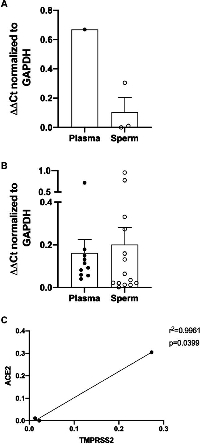 https://cdn.ncbi.nlm.nih.gov/pmc/blobs/4adb/11871218/517c39efe9ac/10815_2024_3321_Fig6_HTML.jpg