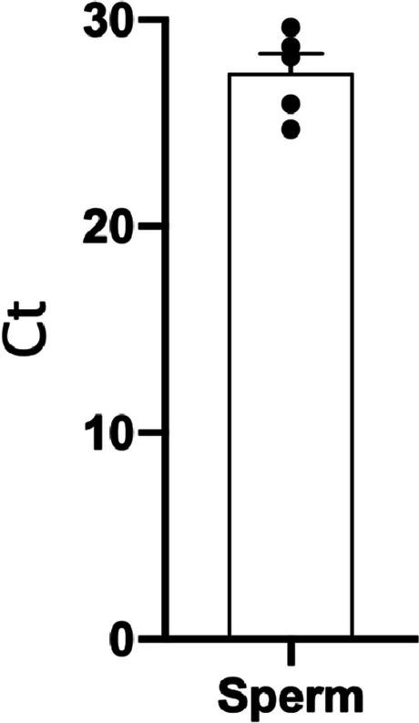 https://cdn.ncbi.nlm.nih.gov/pmc/blobs/4adb/11871218/e722dc79341d/10815_2024_3321_Fig7_HTML.jpg