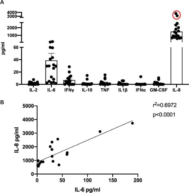 https://cdn.ncbi.nlm.nih.gov/pmc/blobs/4adb/11871218/e9069242a600/10815_2024_3321_Fig2_HTML.jpg
