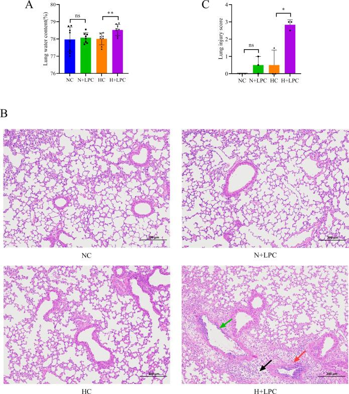 https://cdn.ncbi.nlm.nih.gov/pmc/blobs/4adb/12210943/a1f4b719b979/spectrum.03057-24.f007.jpg