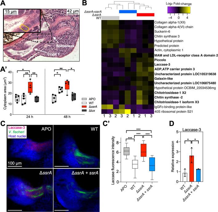 https://cdn.ncbi.nlm.nih.gov/pmc/blobs/4adb/7665748/62d3ca693b97/pbio.3000934.g003.jpg