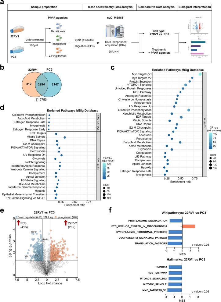 https://cdn.ncbi.nlm.nih.gov/pmc/blobs/4add/12051277/6364bd90a330/12943_2025_2320_Fig3_HTML.jpg