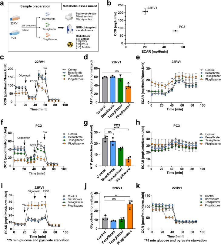 https://cdn.ncbi.nlm.nih.gov/pmc/blobs/4add/12051277/6de79900ad59/12943_2025_2320_Fig5a_HTML.jpg