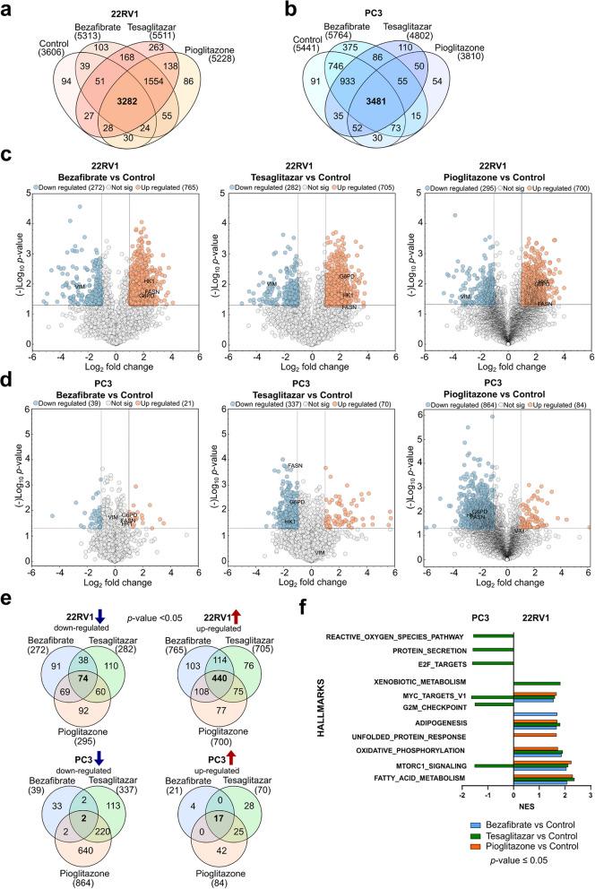 https://cdn.ncbi.nlm.nih.gov/pmc/blobs/4add/12051277/ed117d563035/12943_2025_2320_Fig4_HTML.jpg