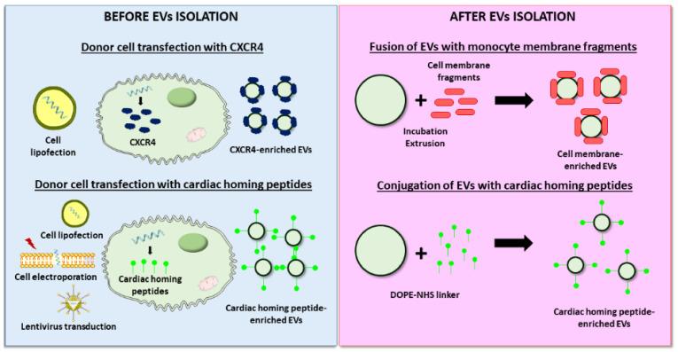 https://cdn.ncbi.nlm.nih.gov/pmc/blobs/4ade/7996323/d1e7fa53401b/nanomaterials-11-00570-g004.jpg