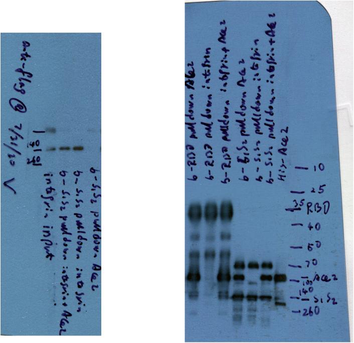 https://cdn.ncbi.nlm.nih.gov/pmc/blobs/4ade/8913299/b78806e43a51/figs5.jpg