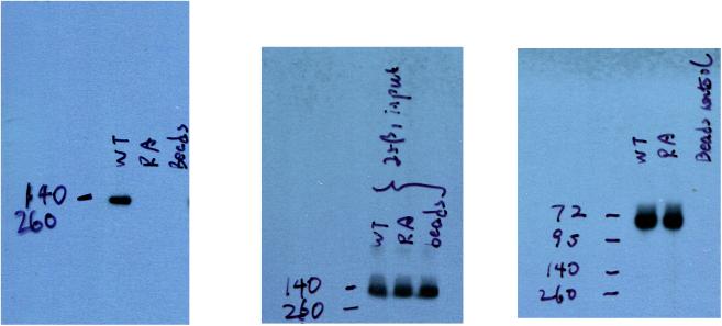 https://cdn.ncbi.nlm.nih.gov/pmc/blobs/4ade/8913299/f0abcb7b9bd6/figs3.jpg