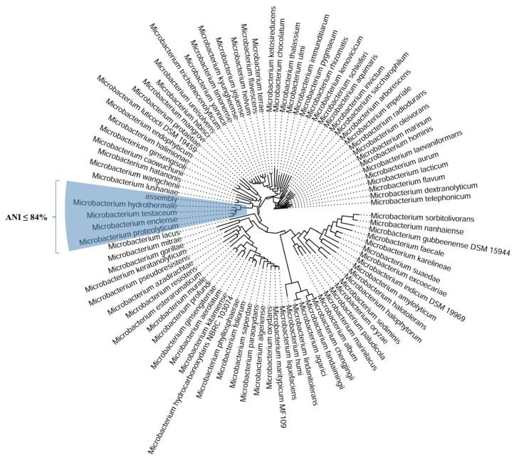 https://cdn.ncbi.nlm.nih.gov/pmc/blobs/4ae2/12196507/de63689428de/plants-14-01753-g008.jpg