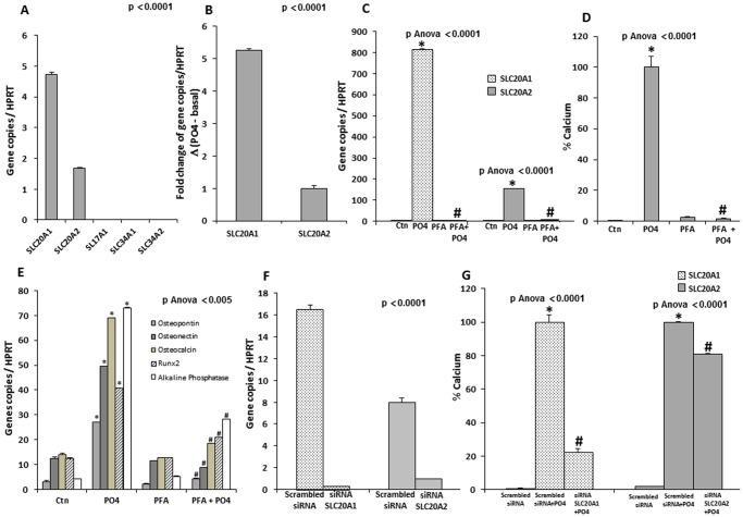 https://cdn.ncbi.nlm.nih.gov/pmc/blobs/4ae3/3537628/e4213ccf0d81/pone.0053393.g001.jpg