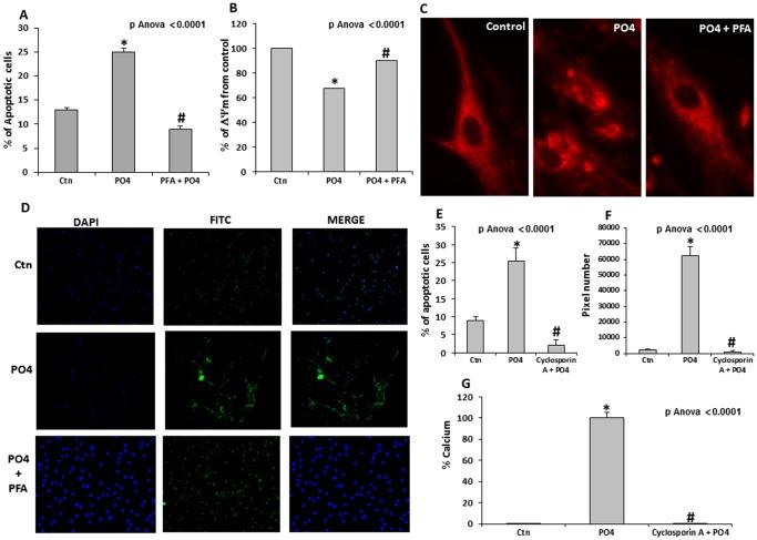 https://cdn.ncbi.nlm.nih.gov/pmc/blobs/4ae3/3537628/fcd001d26c6e/pone.0053393.g003.jpg