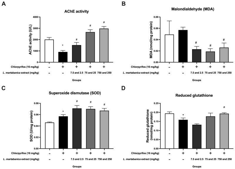 https://cdn.ncbi.nlm.nih.gov/pmc/blobs/4ae5/11172329/56b9abad1c71/foods-13-01695-g003.jpg