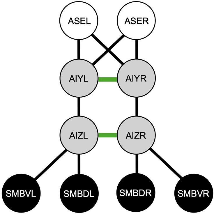 https://cdn.ncbi.nlm.nih.gov/pmc/blobs/4ae6/12393885/06d54192e8d8/elife-104456-fig1.jpg