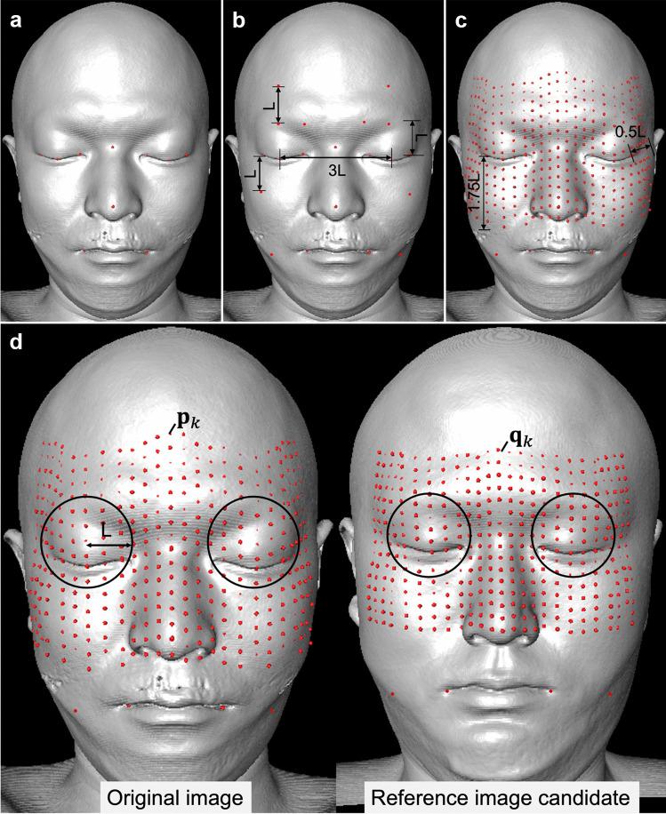 https://cdn.ncbi.nlm.nih.gov/pmc/blobs/4ae7/10406725/662ea2e3f47c/12021_2023_9631_Fig2_HTML.jpg