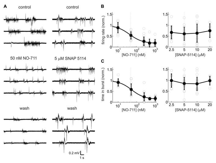 https://cdn.ncbi.nlm.nih.gov/pmc/blobs/4ae7/3769619/2960a9c96fee/fncir-07-00141-g002.jpg