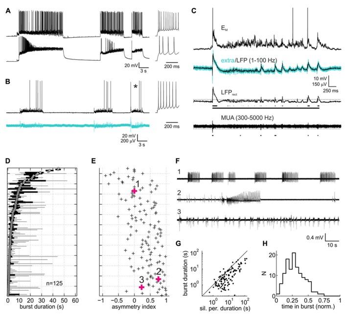 https://cdn.ncbi.nlm.nih.gov/pmc/blobs/4ae7/3769619/2eb6e4fbd2b0/fncir-07-00141-g001.jpg