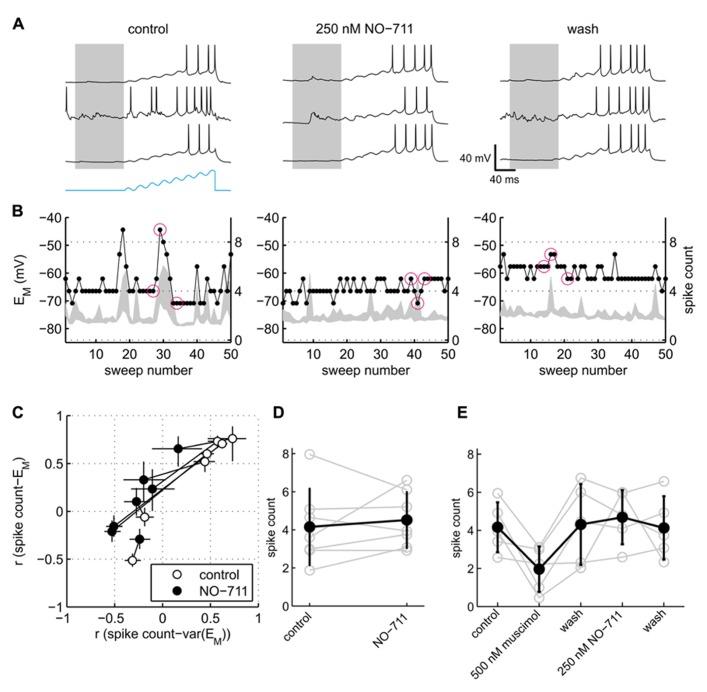 https://cdn.ncbi.nlm.nih.gov/pmc/blobs/4ae7/3769619/8f1aa6b5dff6/fncir-07-00141-g007.jpg