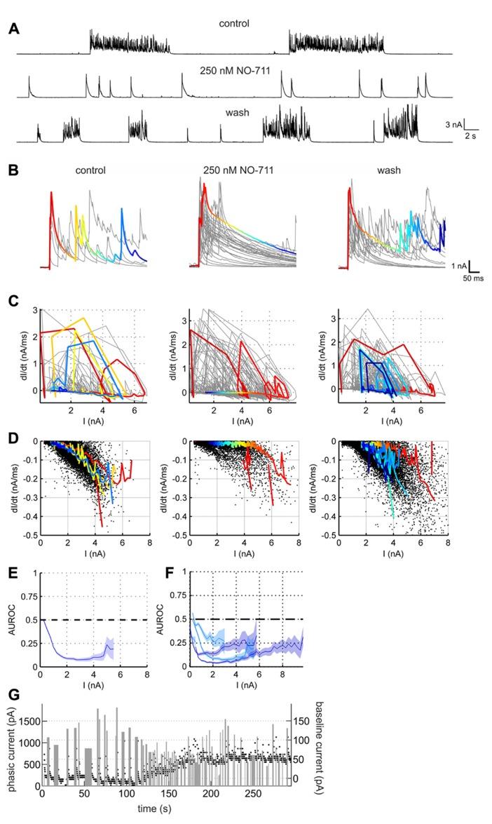 https://cdn.ncbi.nlm.nih.gov/pmc/blobs/4ae7/3769619/ce951337ca04/fncir-07-00141-g005.jpg