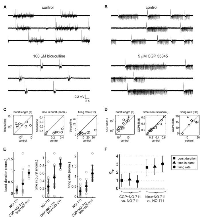 https://cdn.ncbi.nlm.nih.gov/pmc/blobs/4ae7/3769619/e71fc9a3edb7/fncir-07-00141-g004.jpg