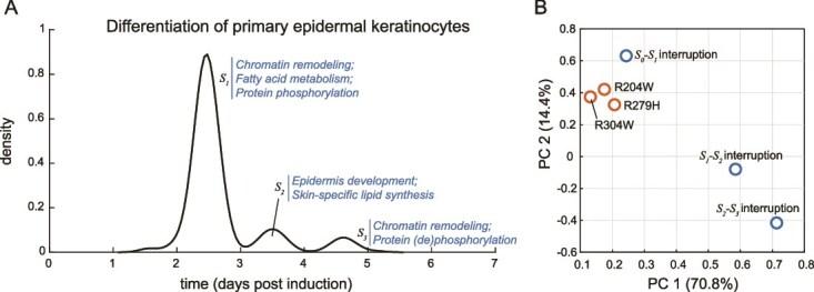 https://cdn.ncbi.nlm.nih.gov/pmc/blobs/4ae8/11995008/057dcf3a1002/bbaf165f4.jpg