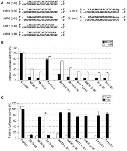 https://cdn.ncbi.nlm.nih.gov/pmc/blobs/4ae9/2566866/d4261ed8d088/gkn584f7.jpg