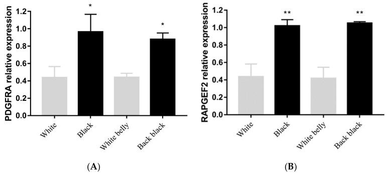 https://cdn.ncbi.nlm.nih.gov/pmc/blobs/4aee/11640690/24fede5c5068/animals-14-03493-g005.jpg