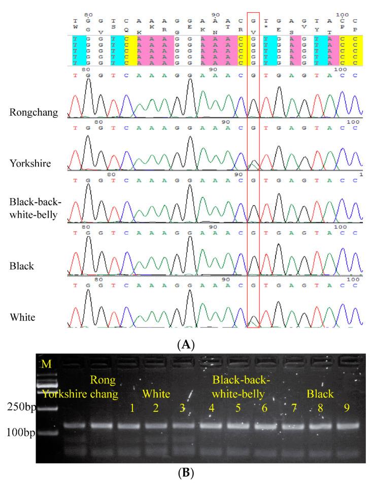 https://cdn.ncbi.nlm.nih.gov/pmc/blobs/4aee/11640690/b020bf437444/animals-14-03493-g006.jpg