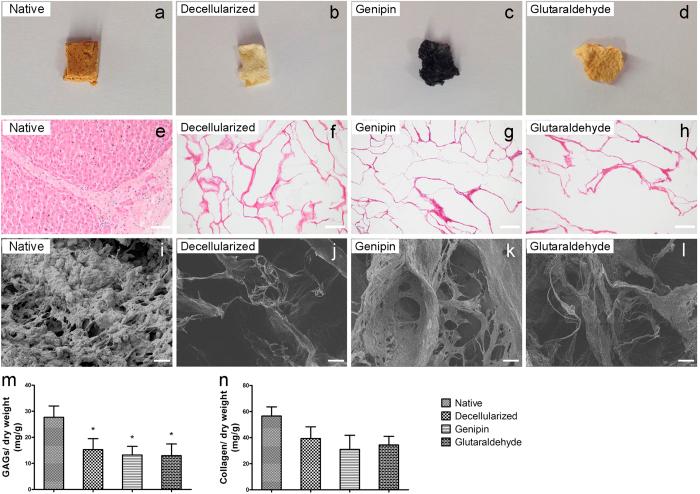 https://cdn.ncbi.nlm.nih.gov/pmc/blobs/4aef/4838870/0896c00524ca/srep24779-f2.jpg