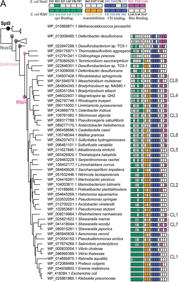 https://cdn.ncbi.nlm.nih.gov/pmc/blobs/4aef/7593976/b2c5b3057299/mBio.02717-20-f0006.jpg