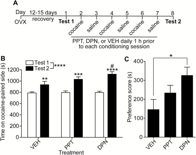 https://cdn.ncbi.nlm.nih.gov/pmc/blobs/4af0/5887286/57eb82015e99/pyx11802.jpg