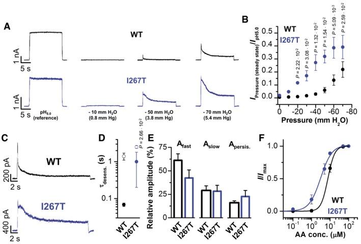 https://cdn.ncbi.nlm.nih.gov/pmc/blobs/4af2/5376757/467db0dc872c/EMMM-9-403-g007.jpg