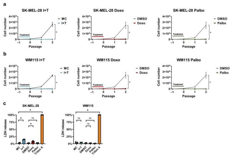 https://cdn.ncbi.nlm.nih.gov/pmc/blobs/4af3/9103004/08495c287966/cells-11-01514-g002.jpg